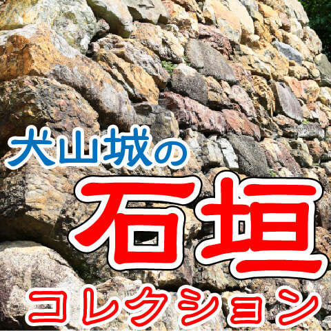 【犬山城の石垣コレクション】犬山城の石垣を眺めてみたら、色んな積み方があっておもしろかった！