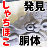 犬山城のしゃちほこ胴体が発見されました。3年ぶり