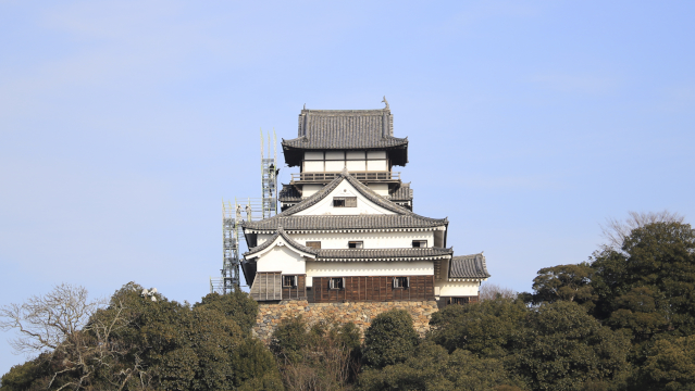 犬山城天守と足場