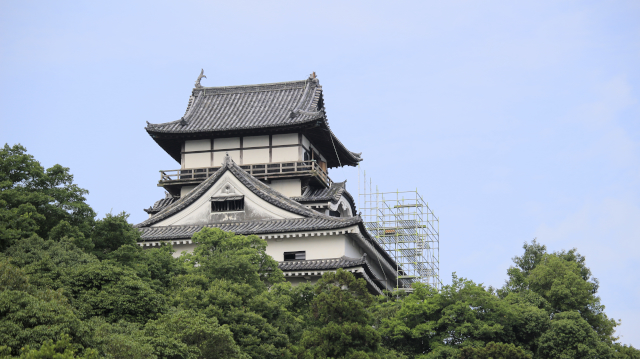 犬山城天守と足場