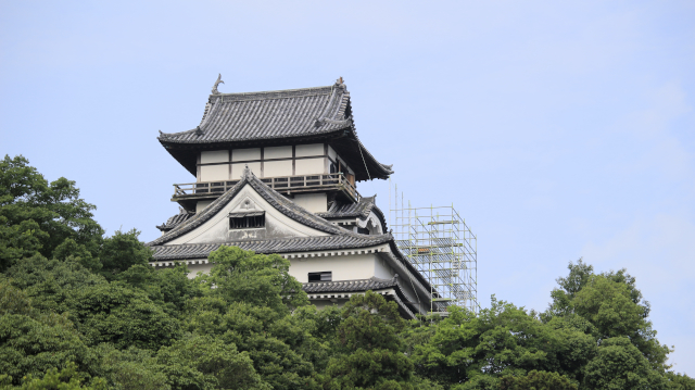 しゃちほこ修復のために犬山城天守に足場が組まれた