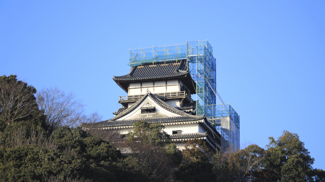 犬山城と足場