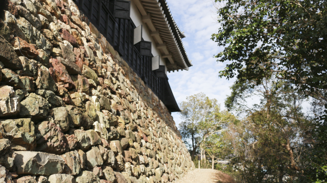 犬山城の天守台石垣・東側