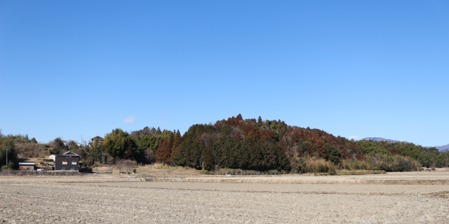 峯城（三重県）。犬山城主・中川定成は峯城に出陣中だった。